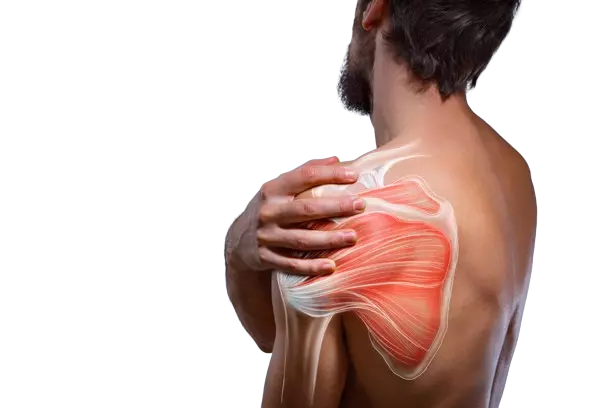 Shoulder Pain Evaluation